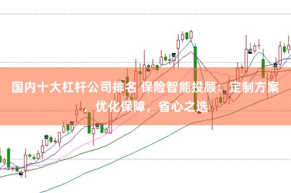 国内十大杠杆公司排名 保险智能投顾：定制方案，优化保障，省心之选