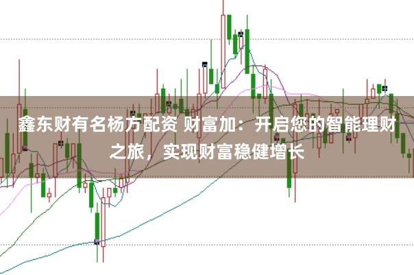 鑫东财有名杨方配资 财富加：开启您的智能理财之旅，实现财富稳健增长