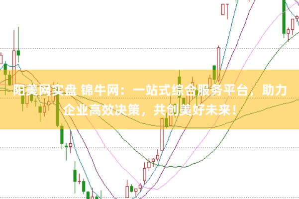阳美网实盘 锦牛网：一站式综合服务平台，助力企业高效决策，共创美好未来！