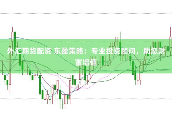 外汇期货配资 东盈策略：专业投资顾问，助您财富增值