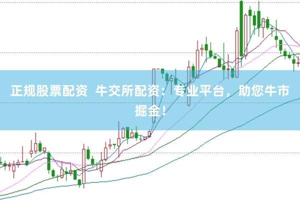 正规股票配资  牛交所配资：专业平台，助您牛市掘金！