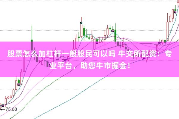 股票怎么加杠杆一般股民可以吗 牛交所配资：专业平台，助您牛市掘金！
