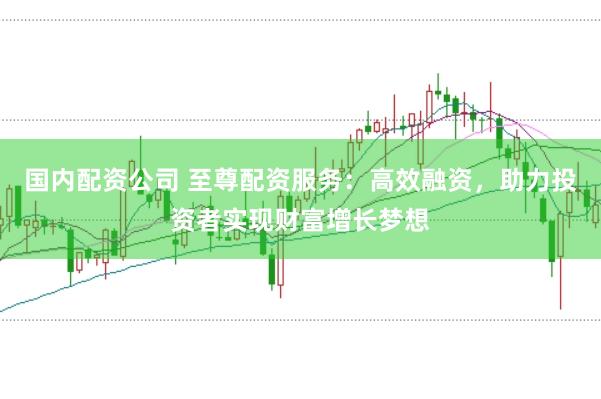 国内配资公司 至尊配资服务：高效融资，助力投资者实现财富增长梦想