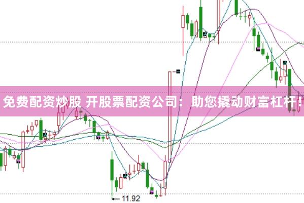 免费配资炒股 开股票配资公司：助您撬动财富杠杆！