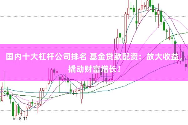 国内十大杠杆公司排名 基金贷款配资：放大收益，撬动财富增长！