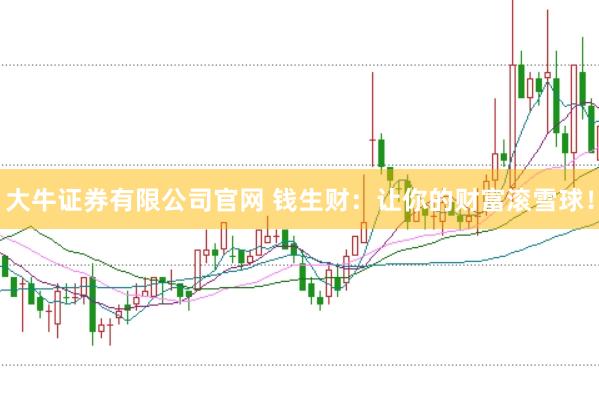 大牛证券有限公司官网 钱生财：让你的财富滚雪球！