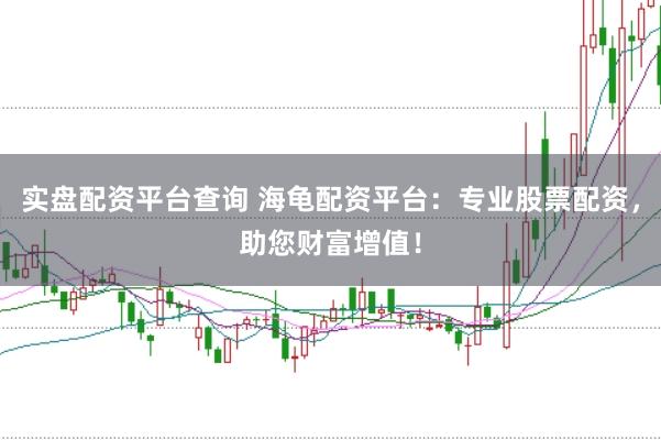 实盘配资平台查询 海龟配资平台：专业股票配资，助您财富增值！