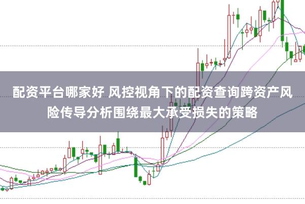 配资平台哪家好 风控视角下的配资查询跨资产风险传导分析围绕最大承受损失的策略