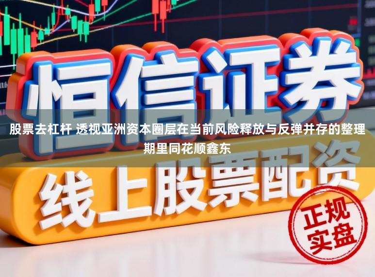 股票去杠杆 透视亚洲资本圈层在当前风险释放与反弹并存的整理期里同花顺鑫东