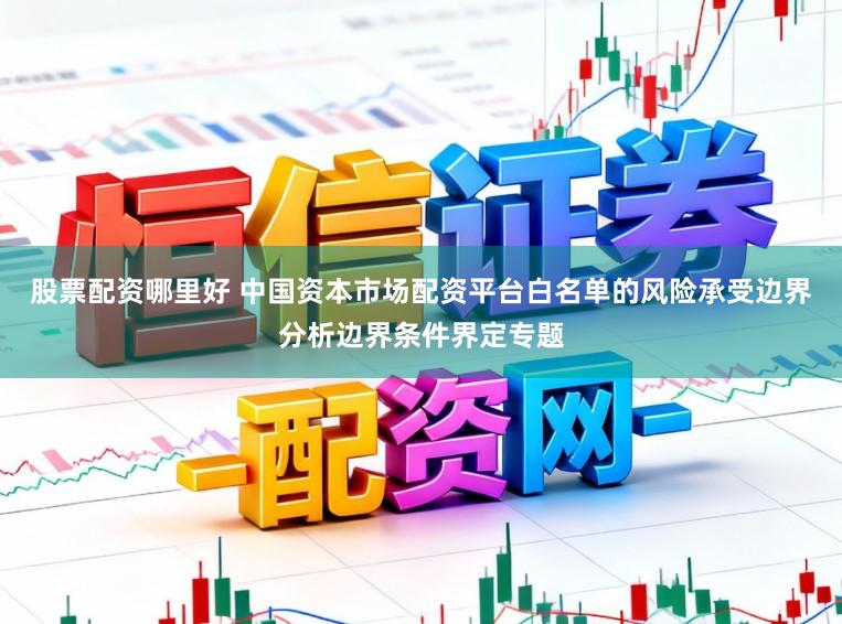 股票配资哪里好 中国资本市场配资平台白名单的风险承受边界分析边界条件界定专题