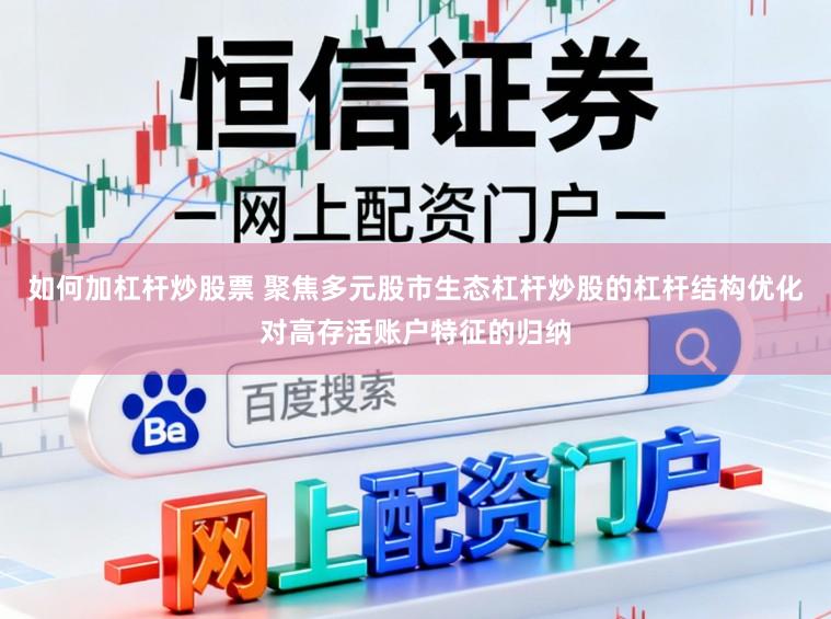 如何加杠杆炒股票 聚焦多元股市生态杠杆炒股的杠杆结构优化对高存活账户特征的归纳