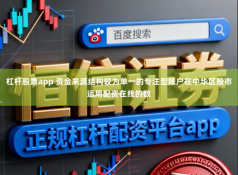 杠杆股票app 资金来源结构较为单一的专注型账户在中华区股市运用配资在线的数